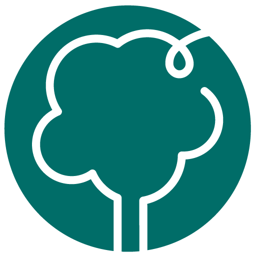Everway AS logo