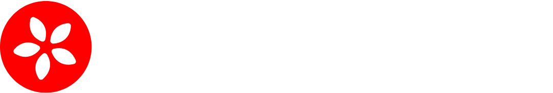 Lingdys Pluss logo